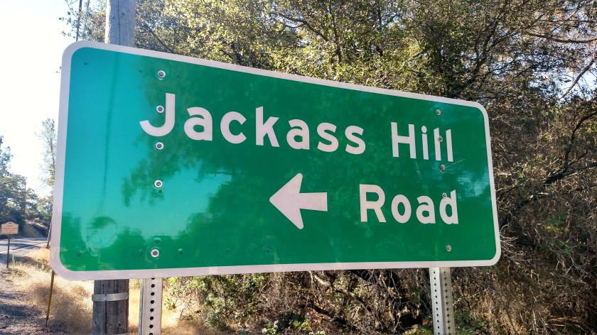 IMG_20180624_082951785_HDR