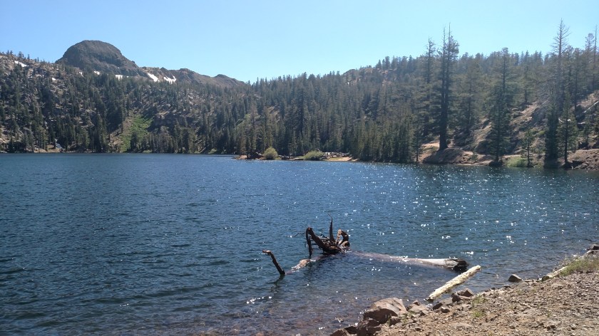 IMG_20180624_154448836