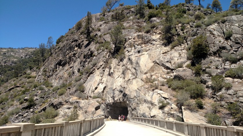 IMG_20180629_120133034