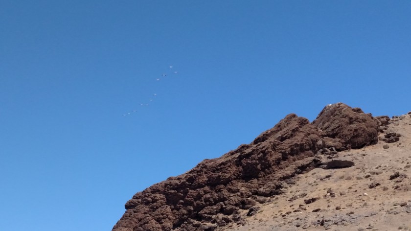 IMG_20180701_115410118