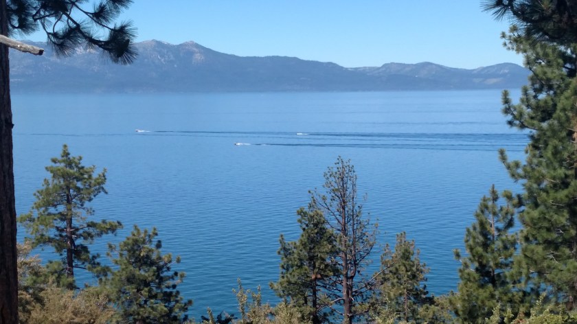 IMG_20180702_111859197