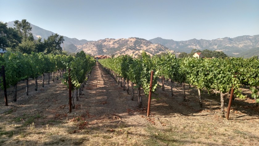 IMG_20180703_174501636_HDR