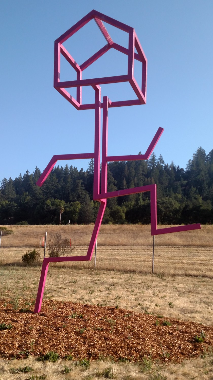 IMG_20180703_181925547