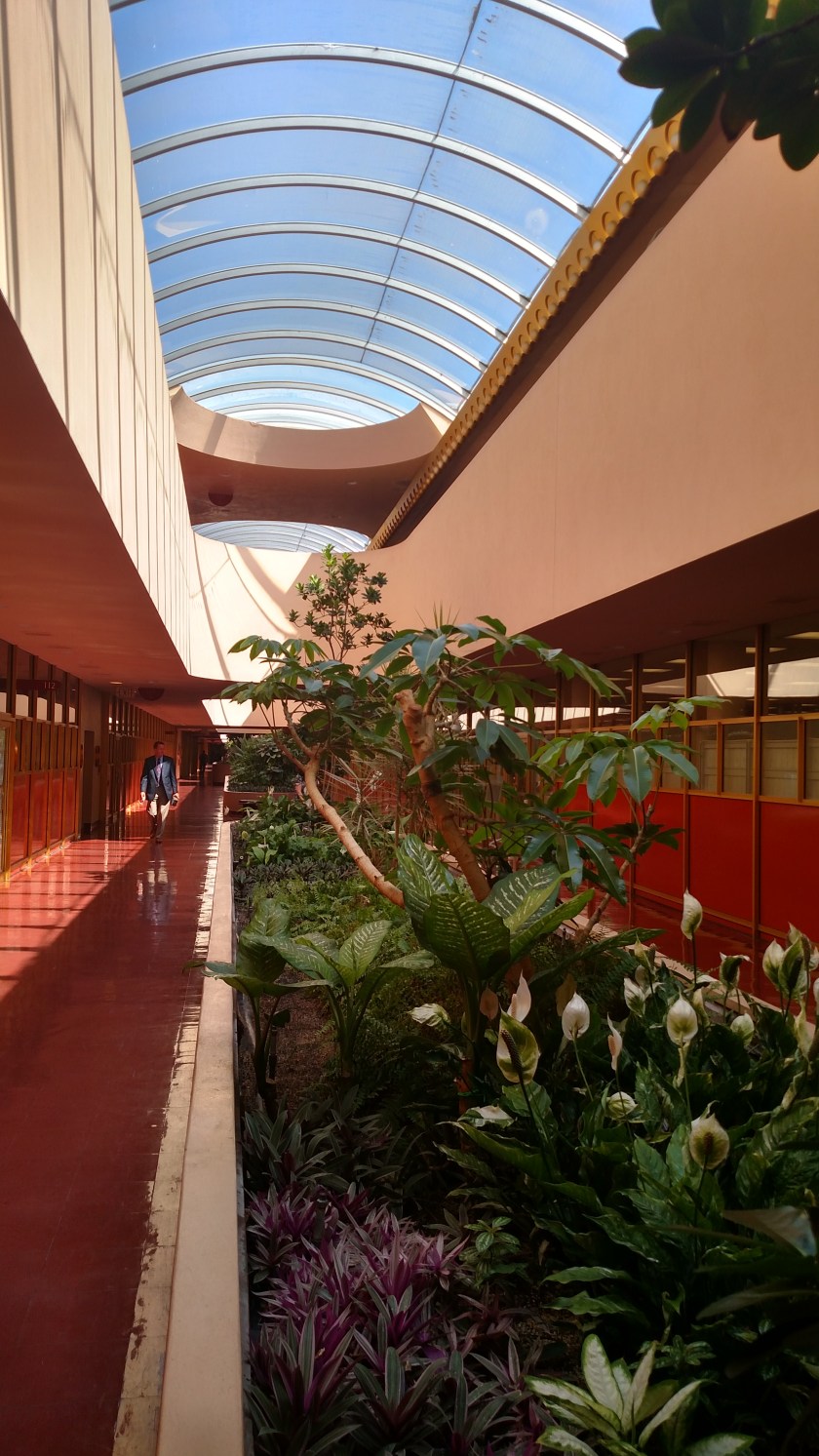 IMG_20180705_101255906_HDR