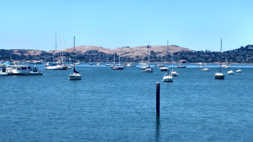 IMG_20180705_140407263_HDR