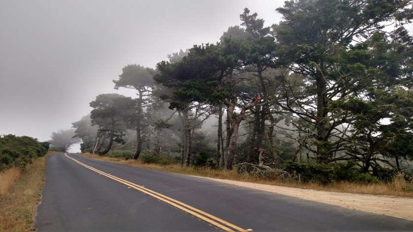 IMG_20180707_102501266_HDR