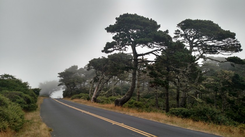 IMG_20180707_102708915_HDR