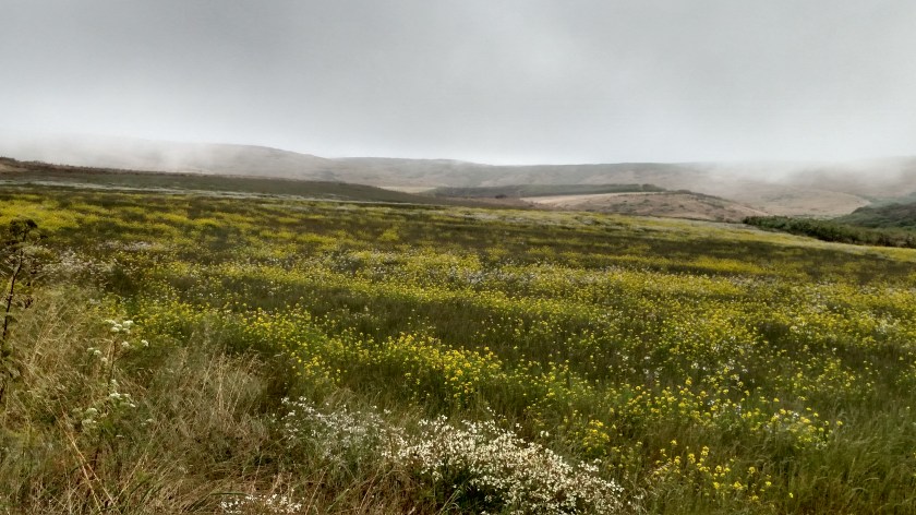 IMG_20180707_104316392_HDR