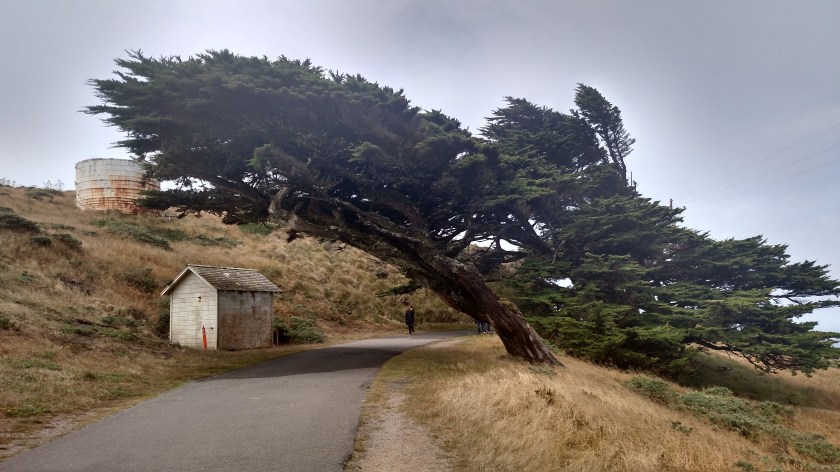 IMG_20180707_121404750_HDR