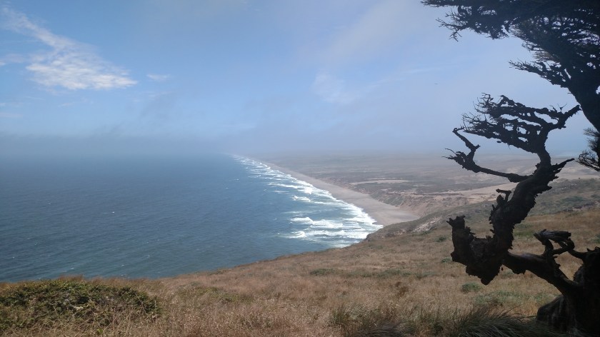 IMG_20180707_123442937