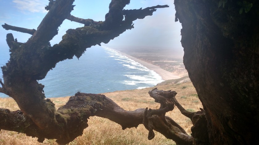 IMG_20180707_123459636_HDR