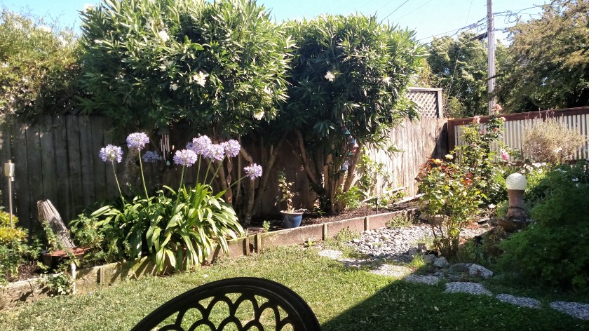 IMG_20180708_164041840