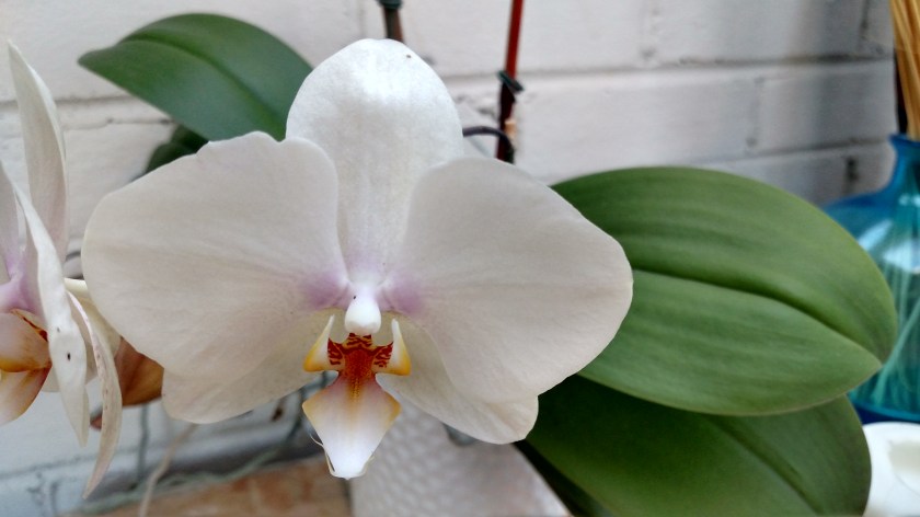 IMG_20180708_185002858_HDR