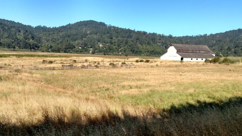 IMG_20180710_092249297_HDR