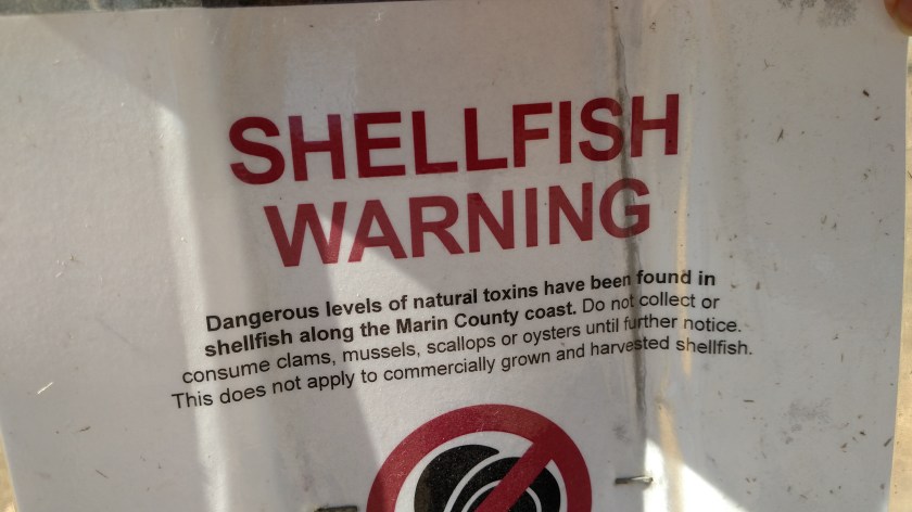 IMG_20180710_094248257