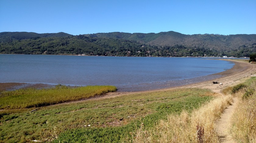 IMG_20180710_094459057