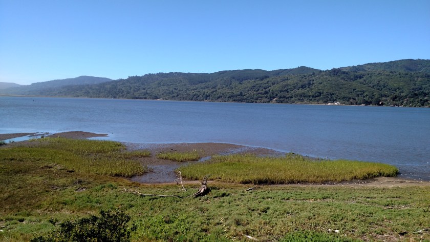 IMG_20180710_094504738