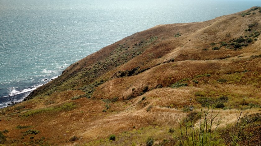 IMG_20180710_153346646