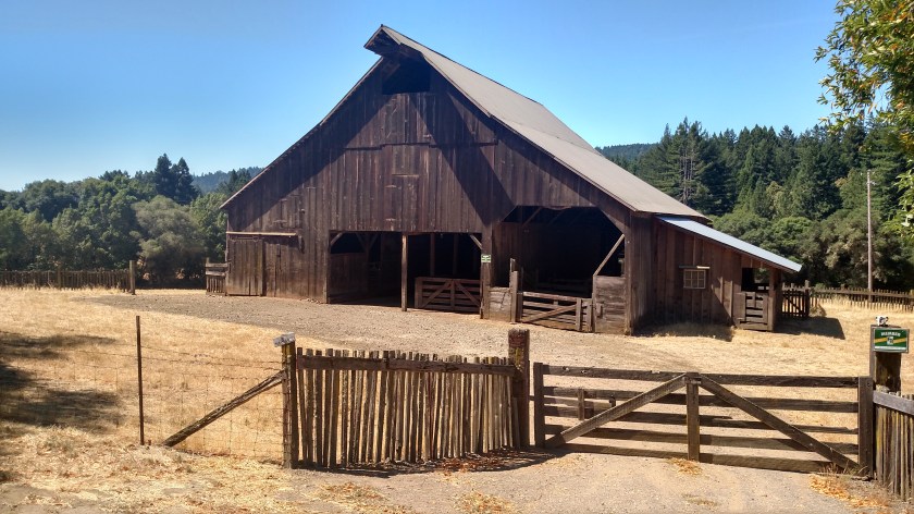 IMG_20180711_105517755_HDR