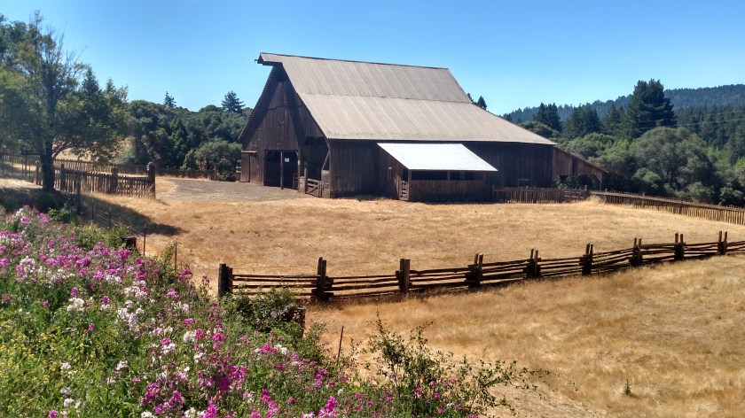 IMG_20180711_105616349_HDR