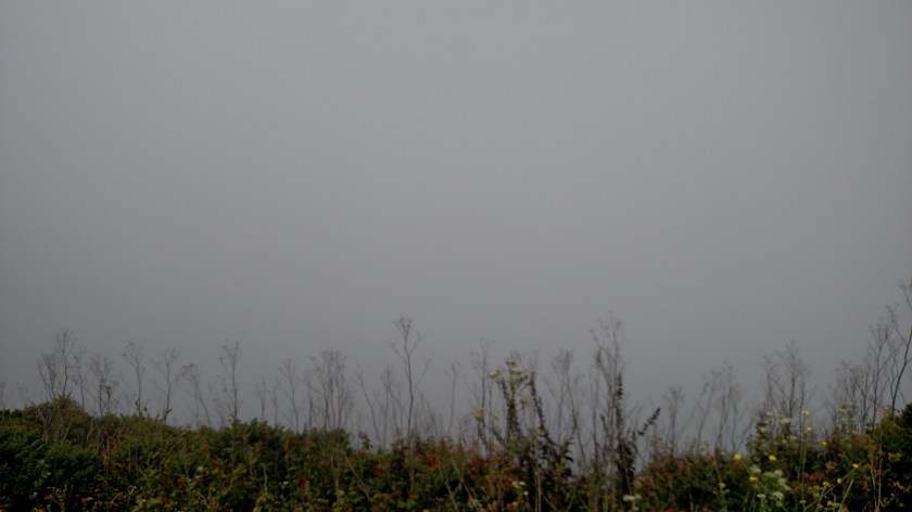 IMG_20180711_115819561