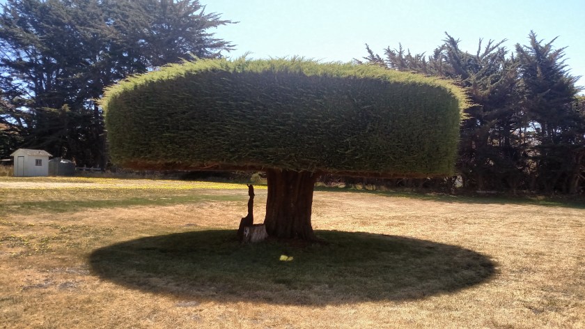 IMG_20180711_122658424