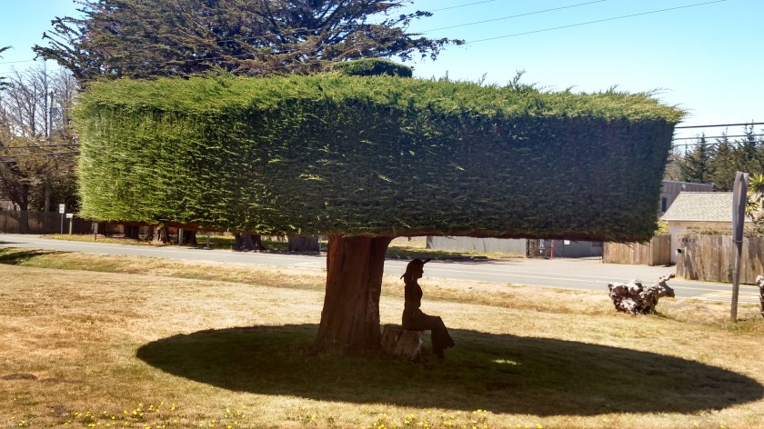 IMG_20180711_122718316_HDR