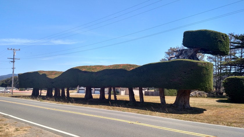 IMG_20180711_122823853_HDR