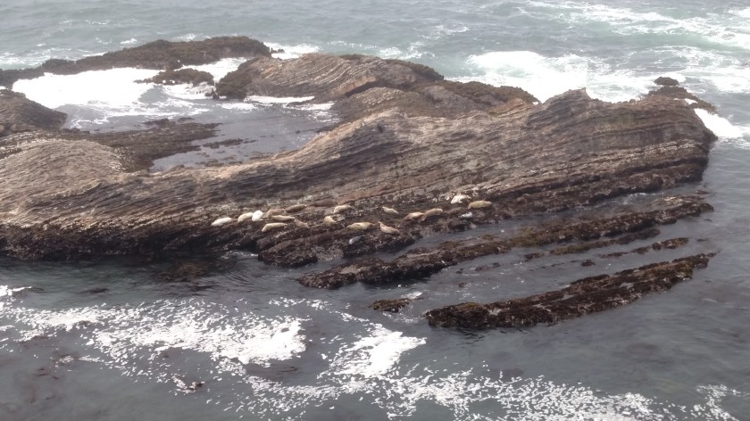 IMG_20180711_124453361