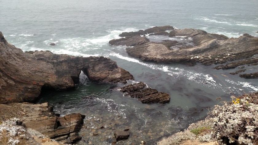 IMG_20180711_124651939