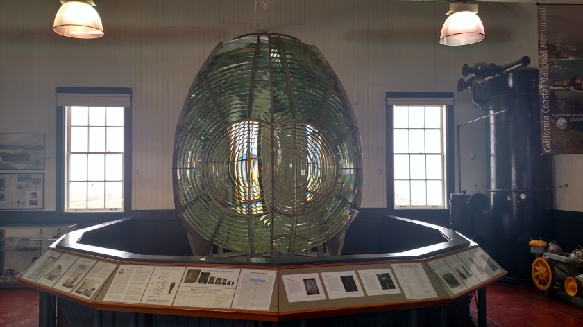 IMG_20180711_130049964_HDR