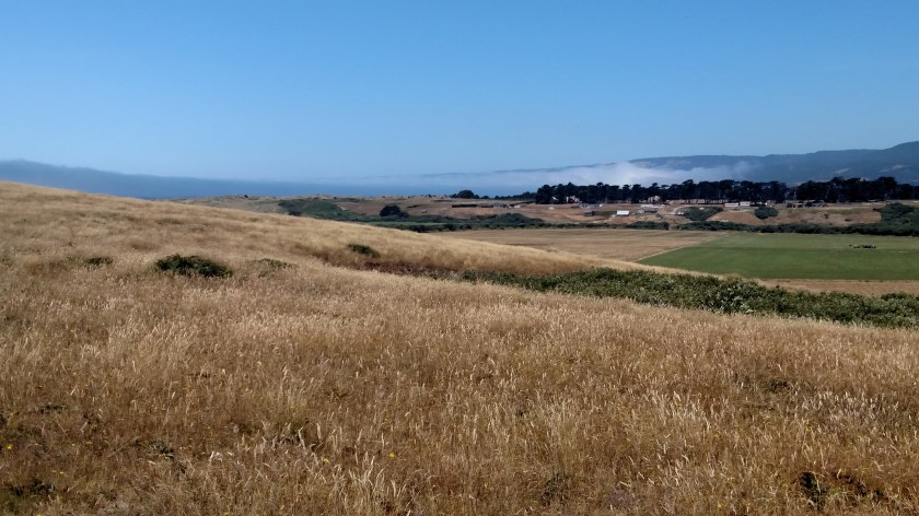 IMG_20180711_132917060