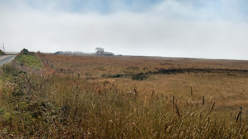 IMG_20180711_152805793_HDR