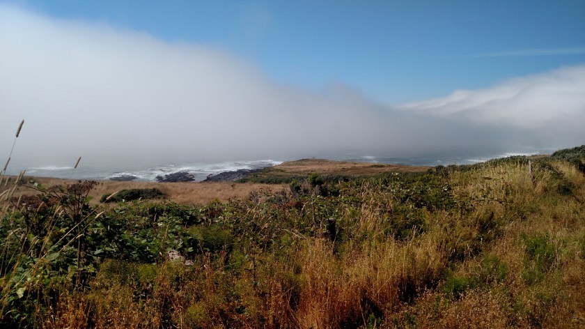 IMG_20180711_154336591