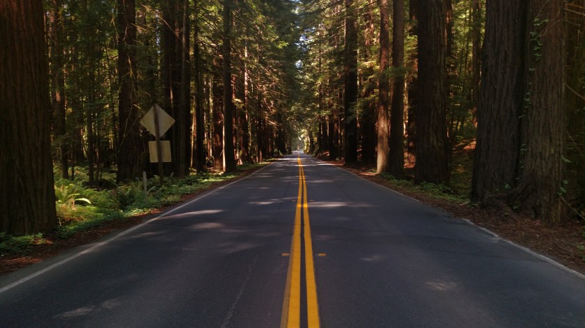 IMG_20180712_110603099