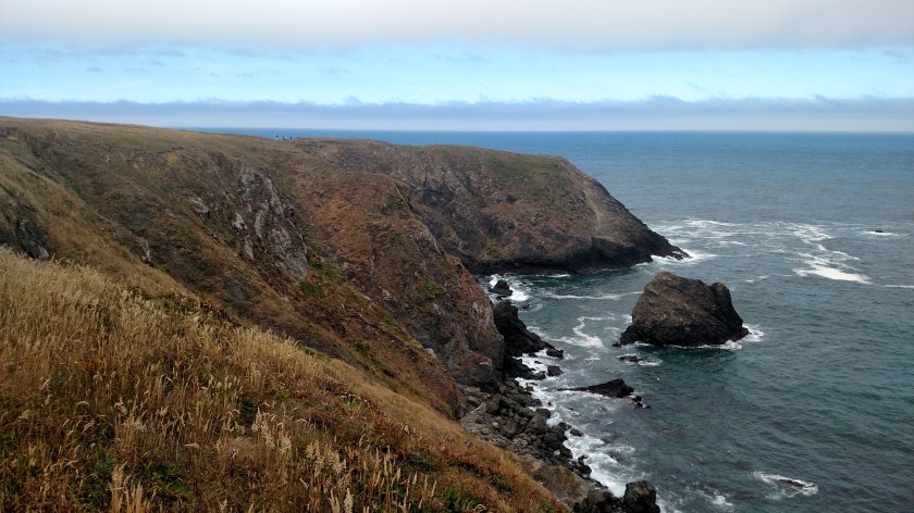 IMG_20180712_113640047