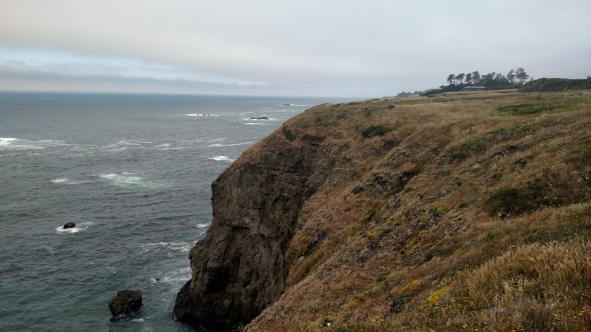 IMG_20180712_113654173