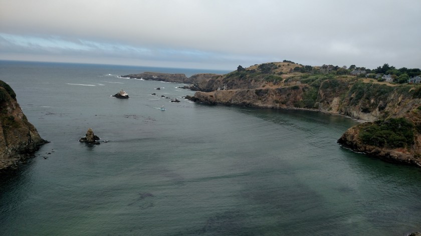 IMG_20180712_115312198