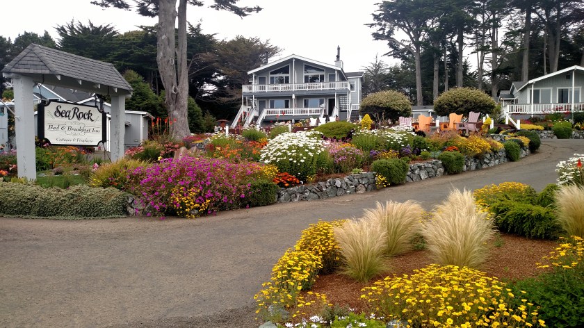 IMG_20180712_123738219