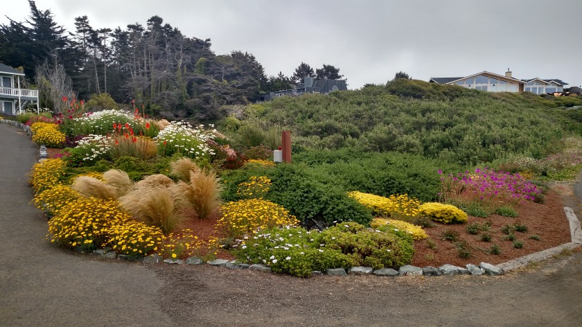 IMG_20180712_123814138_HDR