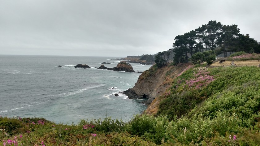 IMG_20180712_124026785_HDR