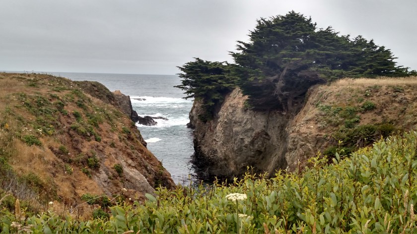 IMG_20180712_131331346_HDR