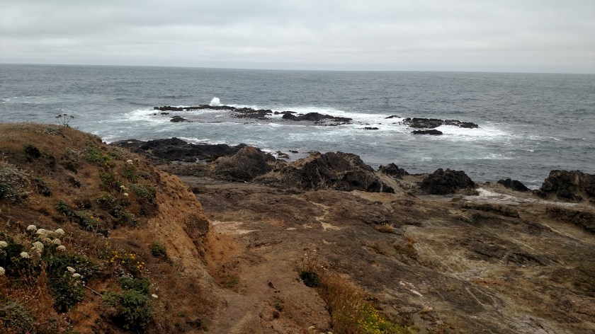 IMG_20180712_131937429