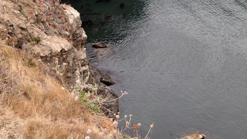 IMG_20180712_132653668