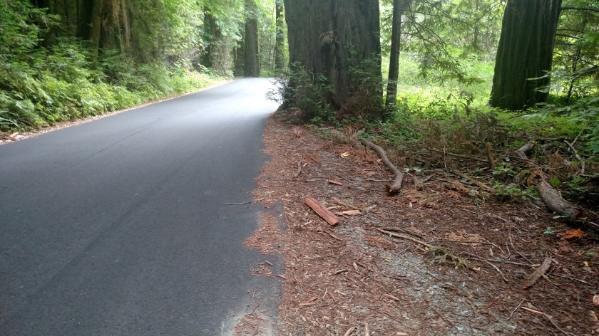 IMG_20180713_142752695