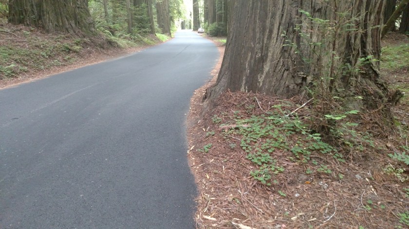 IMG_20180713_143328351