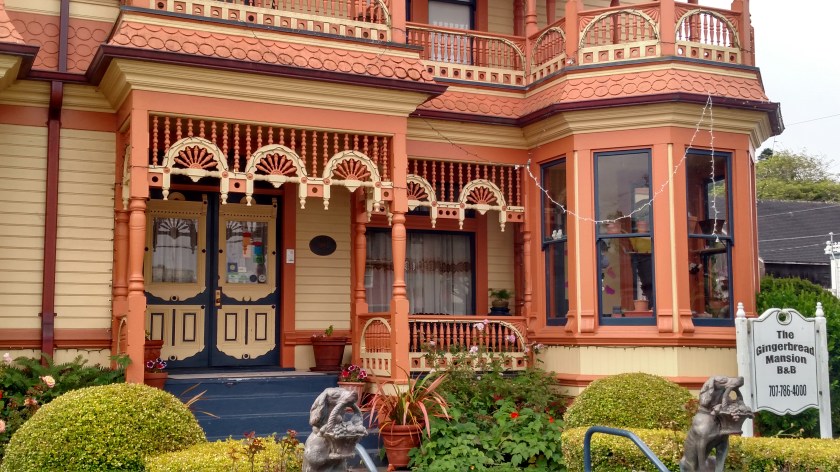 IMG_20180715_085840168_HDR