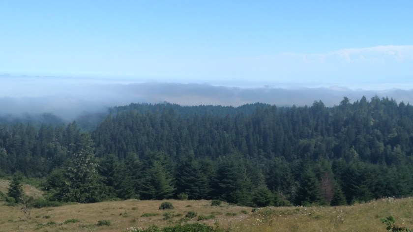 IMG_20180715_103005246