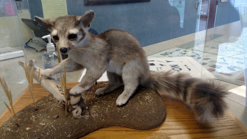 IMG_20180717_101955490