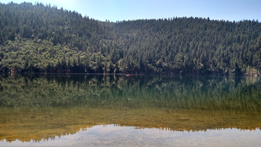 IMG_20180717_115705112_HDR